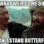 Just having some fun people | YOU KNOW WHAT WEIRDS ME OUT? SPIDERS; REALLY, I CAN'T STAND BUTTERFLIES MYSELF | image tagged in genghis khan,spiders,butterflies | made w/ Imgflip meme maker