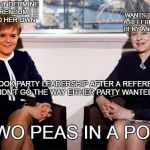 Theresa May Nicola Sturgeon | WANTS TO UNDERMINE A REFERENDUM AND HOLD HER OWN; WANTS TO UPHOLD A REFERENDUM AND DENY ANOTHER ONE; BOTH TOOK PARTY LEADERSHIP AFTER A REFERENDUM DIDN'T GO THE WAY EITHER PARTY WANTED; TWO PEAS IN A POD | image tagged in theresa may nicola sturgeon | made w/ Imgflip meme maker