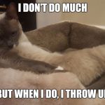 Kokstercat | I DON'T DO MUCH; BUT WHEN I DO, I THROW UP | image tagged in kokstercat | made w/ Imgflip meme maker