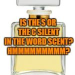 Perfume | IS THE S OR THE C SILENT IN THE WORD SCENT? HMMMMMMMMM? | image tagged in perfume,grammer,scent,funny,funny memes | made w/ Imgflip meme maker