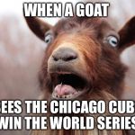 GoatScream2014 | WHEN A GOAT; SEES THE CHICAGO CUBS WIN THE WORLD SERIES | image tagged in goatscream2014 | made w/ Imgflip meme maker