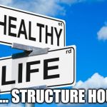 Healthy Life | SEE... STRUCTURE HOUSE | image tagged in healthy life | made w/ Imgflip meme maker