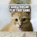 Bad Pun Cat | MY FRIEND KEPT "ROBIN" MY BIRD PUNS; I SAID "TOUCAN" PLAY THAT GAME; HE TOLD ME I'D LIVE TO "EGRET" IT | image tagged in bad pun cat | made w/ Imgflip meme maker