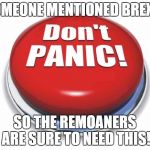 Don't panic button | SOMEONE MENTIONED BREXIT; SO THE REMOANERS ARE SURE TO NEED THIS! | image tagged in don't panic button | made w/ Imgflip meme maker