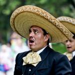 Singing Mariachi Meme Generator - Imgflip