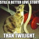 Catsnake | STILL A BETTER LOVE STORY; THAN TWILIGHT. | image tagged in catsnake | made w/ Imgflip meme maker