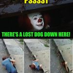 Penny Wise Pick Up Lines (Dog Week A Tiger.Leo Event) | PSSSST; THERE'S A LOST DOG DOWN HERE! | image tagged in penny wise pick up lines,dog week,funny memes,pennywise,dogs,pick up lines | made w/ Imgflip meme maker