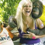 Woman groped by orangutan