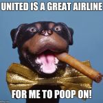 I keed, I keed! | UNITED IS A GREAT AIRLINE; FOR ME TO POOP ON! | image tagged in dog week,united airlines | made w/ Imgflip meme maker