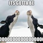 singing cows | ITS GOTTA BE; MOOOOOOOOOOOOOOOOOOO!! | image tagged in singing cows | made w/ Imgflip meme maker