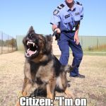 Police dog | Cop: "My dog's able to tell me that you're on drugs."; Citizen: "I'm on drugs? You're the one talking to a dog!" | image tagged in police dog | made w/ Imgflip meme maker