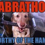 Thor Dog AKA Labrathor - Dog Week | LABRATHOR; IS WORTHY OF THE HAMMER | image tagged in thor dog,dog week,thor,dogs,animals,hammer | made w/ Imgflip meme maker