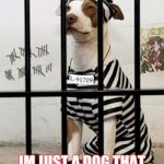 Dog In Prison | IM NOT A BAD DOG; IM JUST A DOG THAT DOES BAD THINGS | image tagged in dog in prison | made w/ Imgflip meme maker