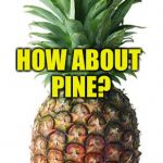 pineapple | DOES THIS HAVE APPLE IN IT? HOW ABOUT PINE? FINE, WE'LL CALL IT A PINEAPPLE | image tagged in pineapple | made w/ Imgflip meme maker