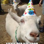 birthday goat  | HEY JESS; LITTLE RED ATE YOUR BIRTHDAY CAKE HEHEHEHE | image tagged in birthday goat | made w/ Imgflip meme maker
