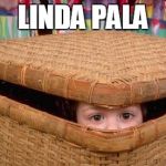 Hiding  | LINDA PALA | image tagged in hiding | made w/ Imgflip meme maker