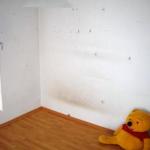lonely Pooh