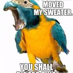 Overreacting Parrotpotomas  | YOU SLIGHTLY MOVED MY SWEATER. YOU SHALL DIE FOR THIS! | image tagged in overreacting parrotpotomas | made w/ Imgflip meme maker