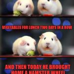 Scared Guinea Pigs~~~An Ozbeck Template~~~ | I THINK DAVE IS PUTTING US ON A DIET.. VEGETABLES FOR LUNCH TWO DAYS IN A ROW; AND THEN TODAY HE BROUGHT HOME A HAMSTER WHEEL | image tagged in scared guinea pigs,ozbeck,lynch1979,memes,lolz | made w/ Imgflip meme maker