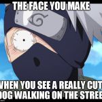 kakashi | THE FACE YOU MAKE; WHEN YOU SEE A REALLY CUTE DOG WALKING ON THE STREET | image tagged in kakashi,meme,funny,anime | made w/ Imgflip meme maker