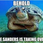 Disappointed turtle | BEHOLD; TURTLE SANDERS IS TAKING OVER KFC | image tagged in disappointed turtle | made w/ Imgflip meme maker