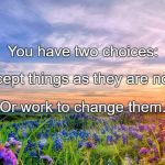 Change | You have two choices:; Accept things as they are now, Or work to change them. | image tagged in change | made w/ Imgflip meme maker