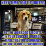 The old dog biscuits in the checked luggage gag | NEXT TIME YOU FLY UNITED; PUT 20 LOOSE DOG BISCUITS IN YOUR CHECKED LUGGAGE, MAKE THE STUPID HUMANS FILL OUT A TON OF PAPERWORK | image tagged in captain archer's beagle porthos,united airlines,dog week,tigerleo,dogs,animals | made w/ Imgflip meme maker