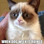 Grumpy Cat Happy Meme | THAT FACE CATS MAKE; WHEN DOG WEEK IS RUINED BY UNITED AIRLINES | image tagged in memes,grumpy cat happy,grumpy cat | made w/ Imgflip meme maker