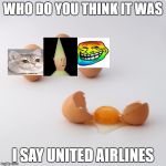Don't break the eggs! | WHO DO YOU THINK IT WAS; I SAY UNITED AIRLINES | image tagged in don't break the eggs | made w/ Imgflip meme maker