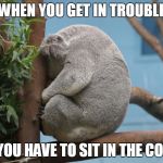Sad Koala | WHEN YOU GET IN TROUBLE; AND YOU HAVE TO SIT IN THE CORNER | image tagged in sad koala | made w/ Imgflip meme maker