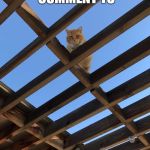 Savage cat | SUB, LIKE AND COMMENT TO; MEMEBOSS ON YT | image tagged in savage cat | made w/ Imgflip meme maker