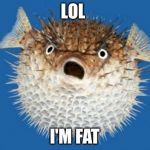 Puffer Fish | LOL; I'M FAT | image tagged in puffer fish | made w/ Imgflip meme maker