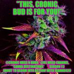"CRONIC HUGS N BUDS" | "THIS, CRONIC BUD IS FOR YOU!"; @CRONIC HUGS N BUDS  
@US WEED CHANNEL,   
**CANNA DESTINATIONS*






 SEASON (1)
 ABOUT TO BLOOM INTO ACTION!
WITH JEANNIE420 | image tagged in cronic hugs n buds | made w/ Imgflip meme maker