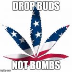 USA weed | DROP BUDS; NOT BOMBS | image tagged in usa weed | made w/ Imgflip meme maker