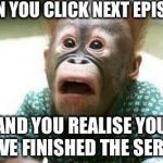 Ugly Monkey | WHEN YOU CLICK NEXT EPISODE; AND YOU REALISE YOU HAVE FINISHED THE SERIES | image tagged in ugly monkey | made w/ Imgflip meme maker