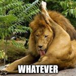 lion licking balls | WHATEVER | image tagged in lion licking balls,whatever | made w/ Imgflip meme maker