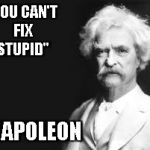 4...,3...,2... | "YOU CAN'T FIX STUPID"; NAPOLEON | image tagged in mark twain | made w/ Imgflip meme maker