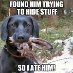 Ate Easter Bunny | FOUND HIM TRYING TO HIDE STUFF; SO I ATE HIM! | image tagged in ate easter bunny | made w/ Imgflip meme maker