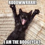 Happy cat  | ROOOWWRRRR! I AM THE BOOGEYCAT. | image tagged in happy cat | made w/ Imgflip meme maker
