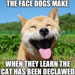 Happy Dog | THE FACE DOGS MAKE; WHEN THEY LEARN THE CAT HAS BEEN DECLAWED. | image tagged in happy dog | made w/ Imgflip meme maker