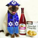 Passover Cat meme