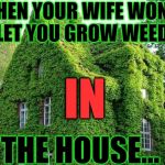 I DID Not Grow Weed in the House! | WHEN YOUR WIFE WON'T LET YOU GROW WEED; IN; THE HOUSE... | image tagged in what about the weed,weed,men vs women,first world stoner problems,lol so funny,420,housework if you do it right will kill you.  | made w/ Imgflip meme maker