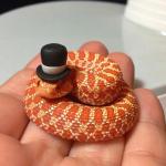 snake in top hat