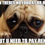 Sad Puppy | WHEN THERES NO FOOD AT UR HOUSE; BUT U NEED TO PAY RENT | image tagged in sad puppy | made w/ Imgflip meme maker