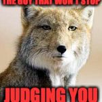 Tibetan fox  | THE GUY THAT WON'T STOP; JUDGING YOU | image tagged in tibetan fox | made w/ Imgflip meme maker