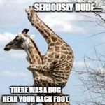 scared giraffe | SERIOUSLY DUDE.... THERE WAS A BUG NEAR YOUR BACK FOOT. | image tagged in scared giraffe | made w/ Imgflip meme maker