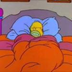 Homer sleep
