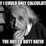Albert Einstein | IF I COULD ONLY CALCULATE; THE GUT TO BUTT RATIO | image tagged in albert einstein | made w/ Imgflip meme maker