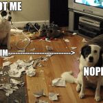 guiltydogs | NOT ME; HIM-------------------------->; NOPE | image tagged in guiltydogs | made w/ Imgflip meme maker