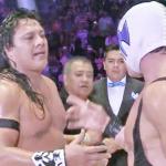 lucha libre